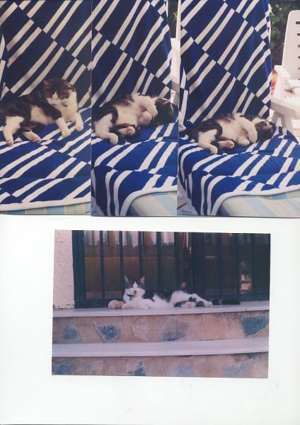 Toby et sissi....
